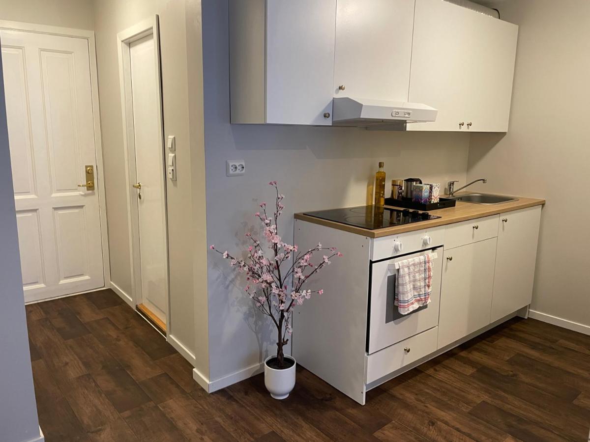 Central Studio Apartment Ставангер Екстер'єр фото